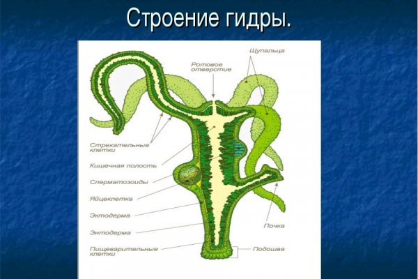 Заказать мефедрон